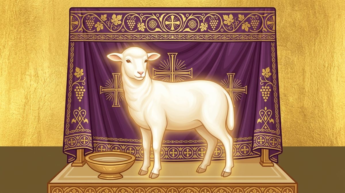 The Lamb Without Blemish